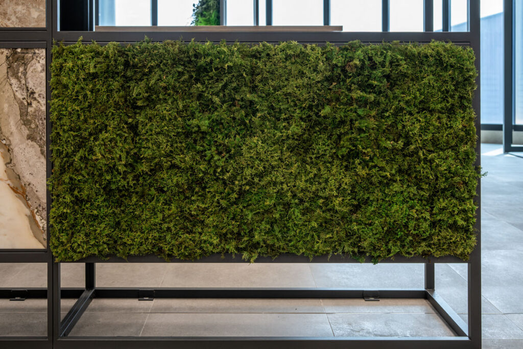 collection cuadros vegetales frame cerpa