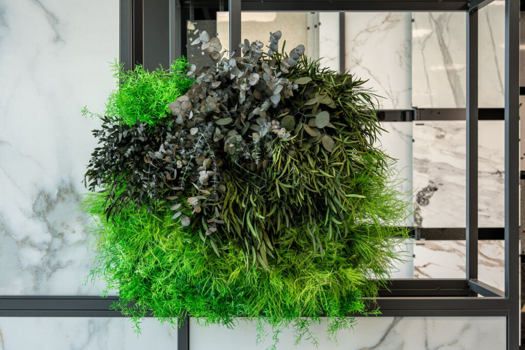 collection cuadros vegetales frame cerpa