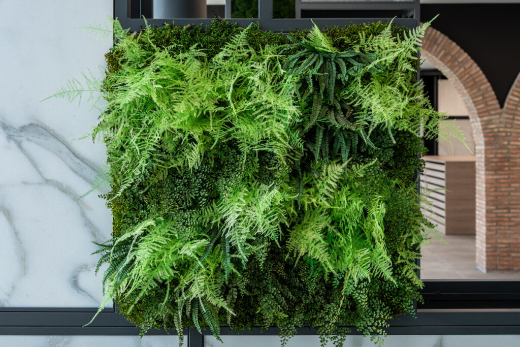 collection cuadros vegetales frame cerpa