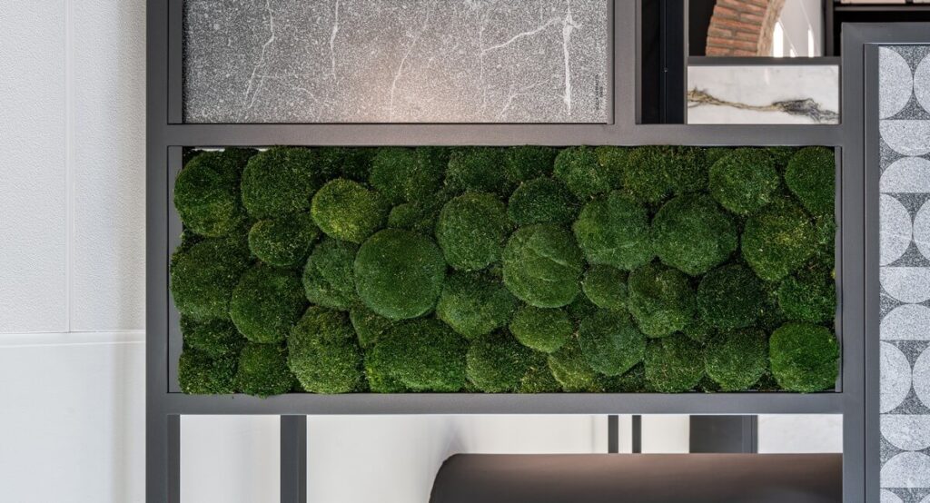 collection cuadros vegetales frame cerpa