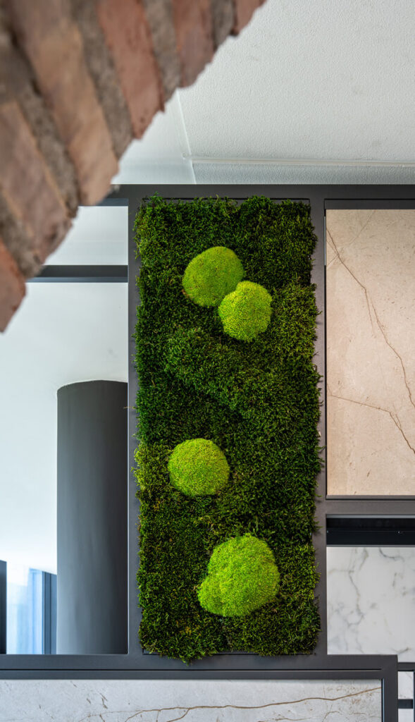collection cuadros vegetales frame cerpa