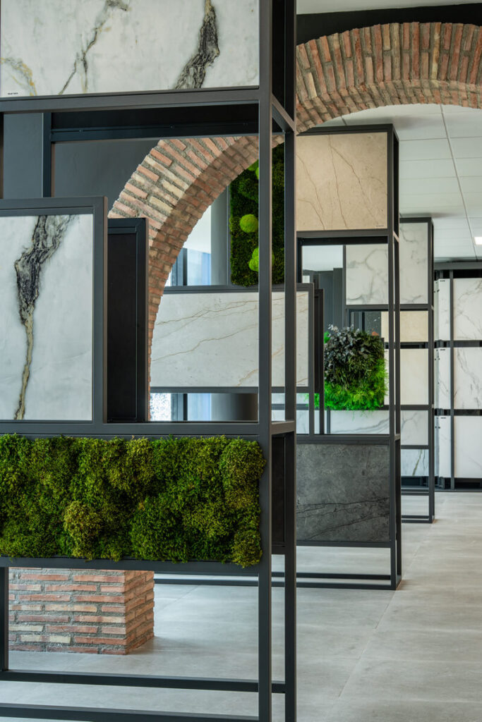 collection cuadros vegetales frame cerpa