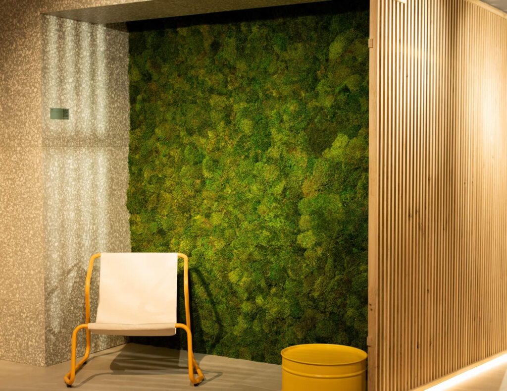 proyecto porcelanite liquen pared